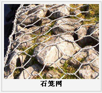 護(hù)欄網(wǎng),金剛網(wǎng),聲屏障,石籠網(wǎng),框架護(hù)欄網(wǎng),市政護(hù)欄網(wǎng)
